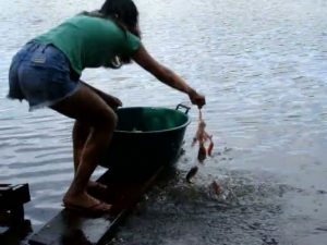 Το ψάρεμα πιράνχας στην Βραζιλία είναι... απλή υπόθεση (Βίντεο)