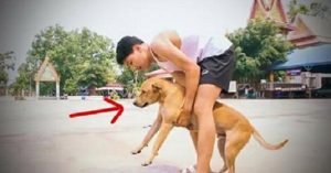 Μάζεψε όλα τα σκυλιά από τους δρόμους και αυτό που έκανε στην συνέχεια ήταν φανταστικό! (Βίντεο)