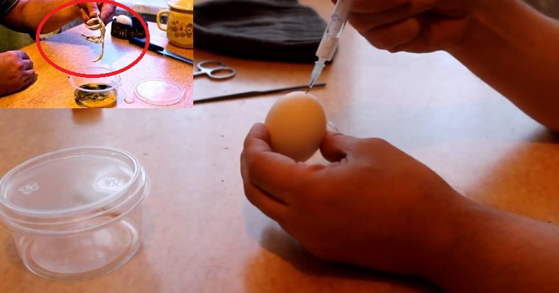 Ρώσος κάνει ένεση σε ένα αβγό με το… σπέpμα του και το αποτέλεσμα είναι ΕΦΙΑΛΤΙΚΟ! (Βίντεο)