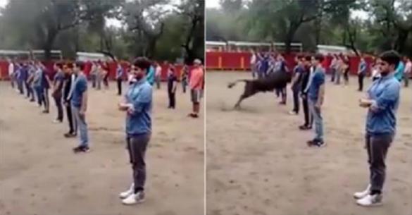 Δάσκαλος απόδειξε σε 40 μαθητές ότι οι ταύροι δεν επιτίθενται αν δεν τους επιτεθείς.