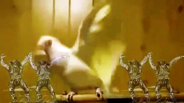 Ο Πόντιος παπαγάλος που χορεύει ποντιακά τραγούδια (Βίντεο)