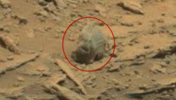 Έψαχνε για ζωή στην επιφάνεια του Άρη και δείτε τι βρήκε