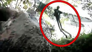 5 Τρομακτικά πλάσματα που «ΠΙΑΣΤΗΚΑΝ» από κάμερες! (Βίντεο)