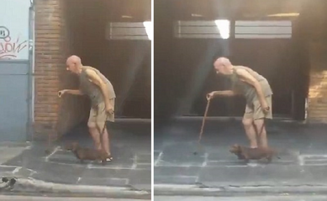 Εκπληκτικό! Σκύλος περπατά υπομονετικά για να… συμβαδίσει με τον γέρο ιδιοκτήτη του! (Video)