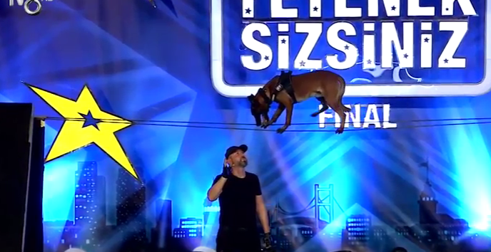 Αυτά που έκανε αυτός ο σκύλος σε talent show δεν τα έχει κάνει κανένας σκύλος