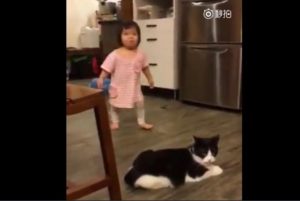 Ξεκαρδιστικό βίντεο που έγινε viral: Γάτα έβαλε τρικλοποδιά σε… παιδάκι(Video)