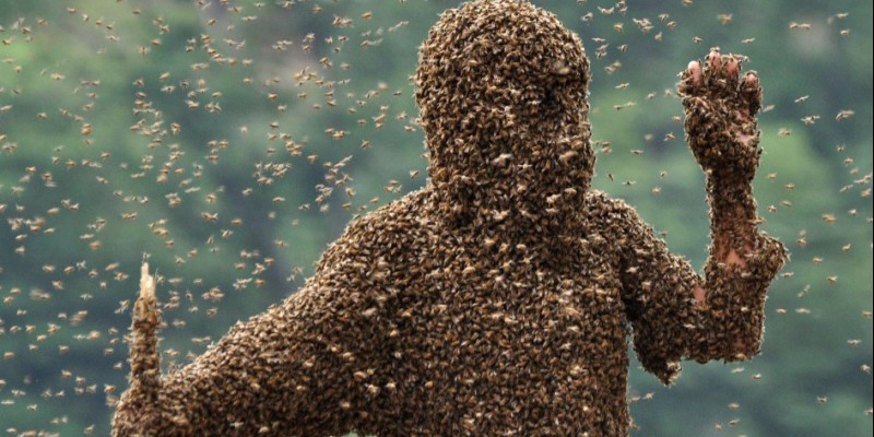 Γυναίκα κάθεται ατάραχη ενώ δέχεται επίθεση από σμήνος μελισσών! [Βίντεο]