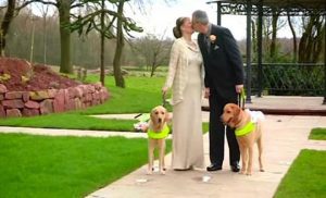 Αυτό το ζευγάρι τυφλών μόλις παντρεύτηκε! Δείτε τι κάνουν τα σκυλιά τους… Θα δακρύσετε (Βίντεο)