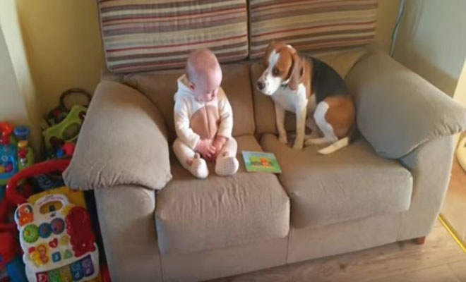 Έβαλαν το Νεογέννητο Μωρό να Κάτσει για Πρώτη Φορά δίπλα στον Σκύλο. Οι αντιδράσεις τους; Θα σας Φτιάξουν τη Μέρα!