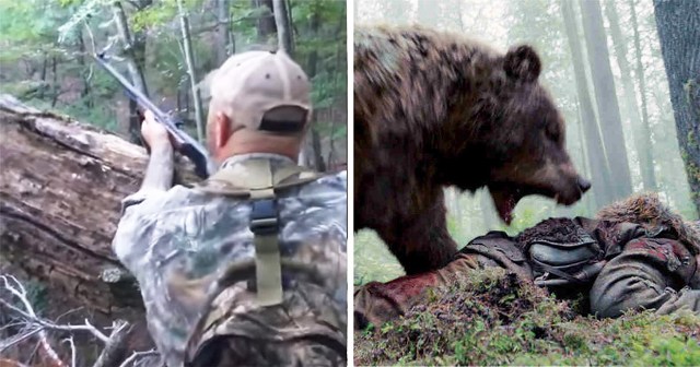 Αρκούδα το παίζει νεκρή και μετά επιτίθεται στον κυνηγό που της επιτέθηκε