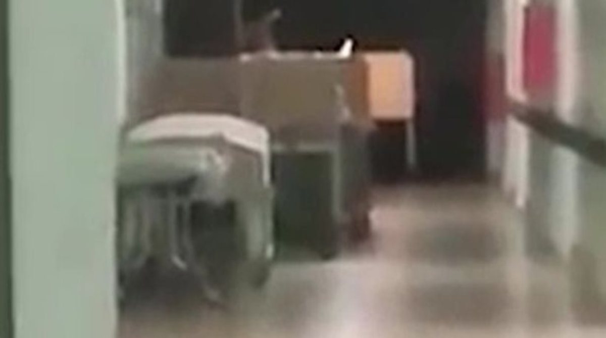 Βίντεο: Νοσηλεύτρια κατέγραψε το «φάντασμα» μικρού παιδιού σε κλινική στην Αργεντινή