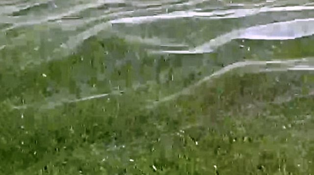 Αράχνες έφτιαξαν ιστό 30 μέτρων στον αέρα για να γλιτώσουν από τις πλημμύρες