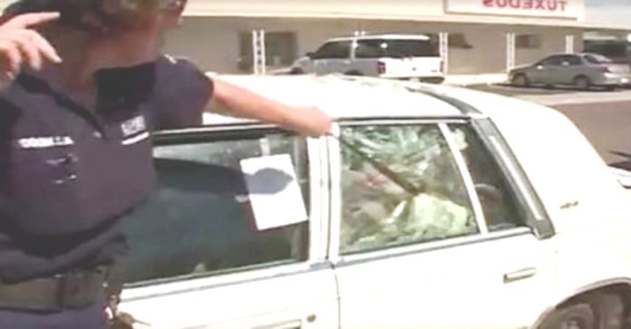 Είδε 7 σκυλιά κλειδωμένα στο αυτοκίνητο μέσα στη ζέστη μια γυναίκα αστυνομικός και η αντίδρασή της, αξίζει συγχαρητήρια!