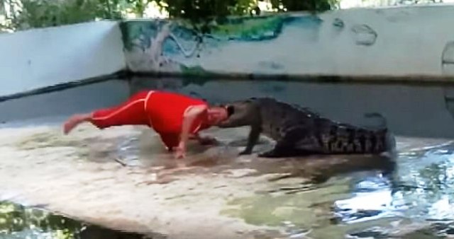 Κροκόδειλος άρπαξε από το κεφάλι φύλακα ζωολογικού κήπου  (Video)