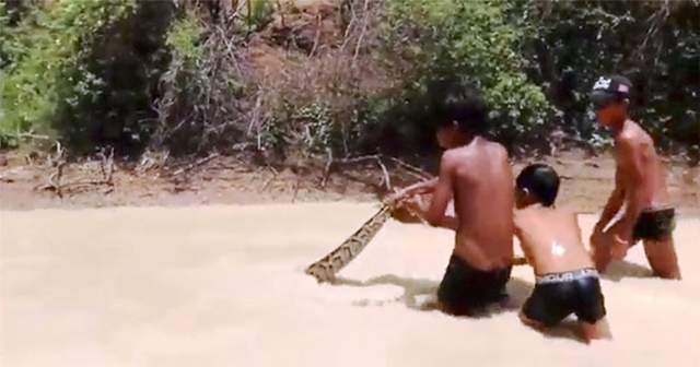 Παιδιά τραβούν μεγάλο φίδι έξω από το νερό χωρίς να νοιάζεται κανείς για την ασφάλειά τους