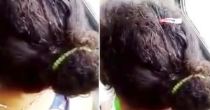 Επιβάτης λεωφορείου βιντεοσκοπεί κεφάλι γυναίκας που είναι γεμάτο ψείρες