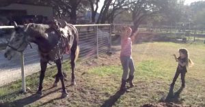Δύο Κορίτσια άρχισαν να χορεύουν μπροστά σε ένα άλογο και τότε αρχίζει να χορεύει με τον δικό του ρυθμό