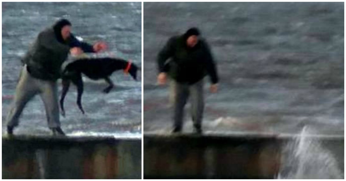 Άνδρας πετάει τον σκύλο του από μια προβλήτα στα παγωμένα νερά της θάλασσας