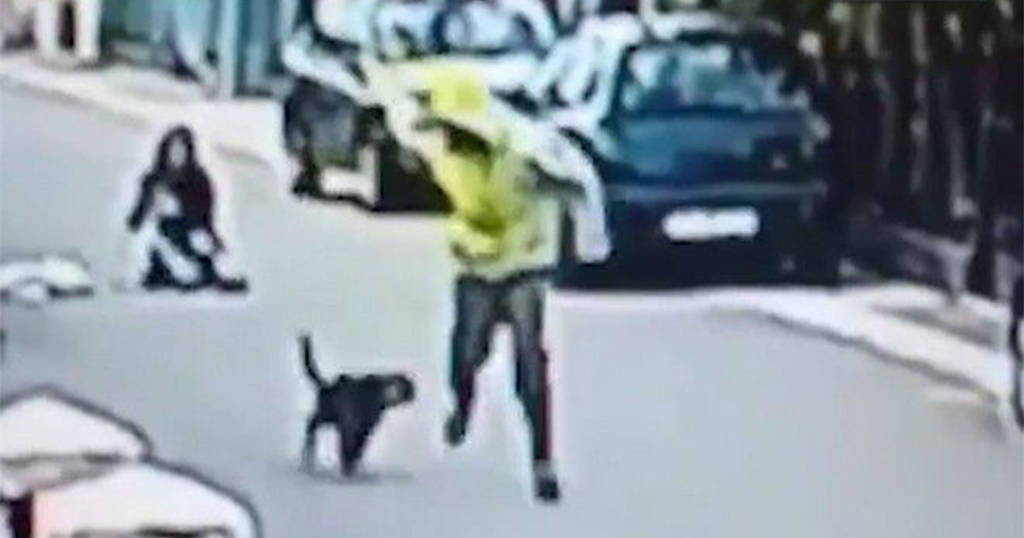 Ένας αδέσποτος σκύλος έσωσε μια γυναίκα από έναν θρασύτατο ληστή (Βίντεο)