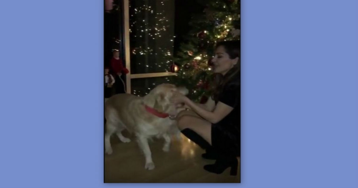 Δέσποινα Βανδή: Το βίντεο μέσα από το σπίτι της ανήμερα τα Χριστούγεννα