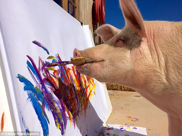 Γουρούνι που σώθηκε από την σφαγή έγινε παγκοσμίου φήμης καλλιτέχνης
