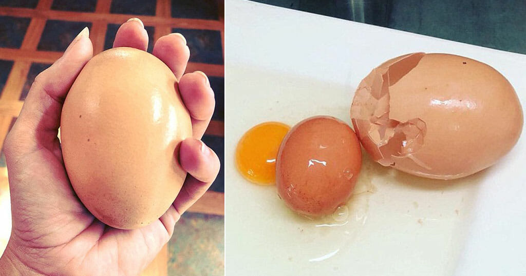 Αγρότης ανακάλυψε τεράστιο αυγό που έκρυβε άλλο αυγό μέσα