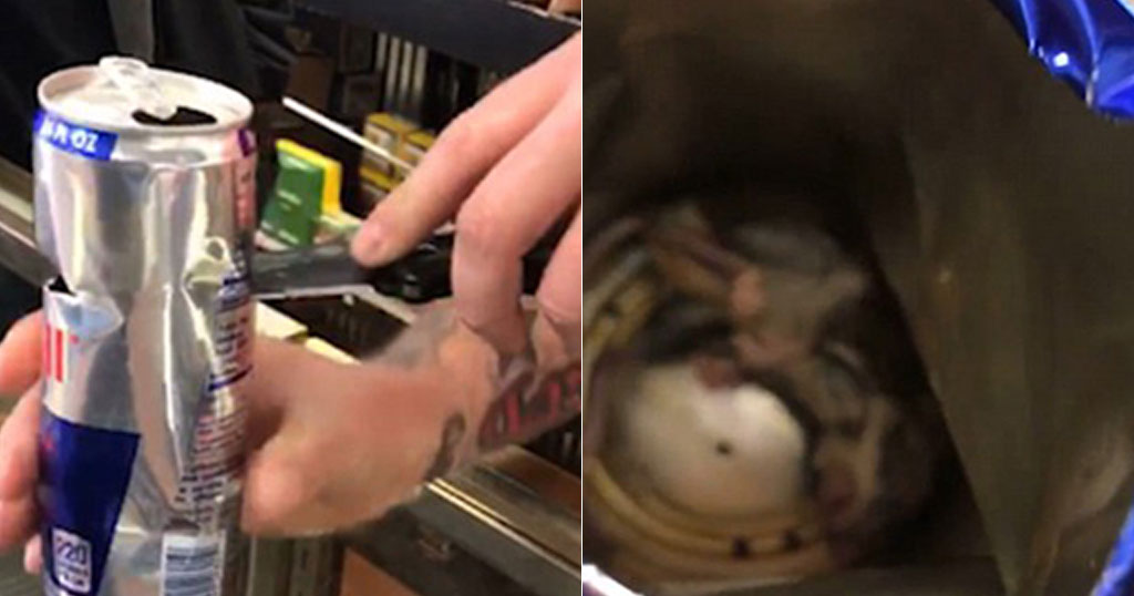 Άντρας άνοιξε ένα κουτάκι Red Bull και βρήκε μέσα πεθαμένο ποντίκι