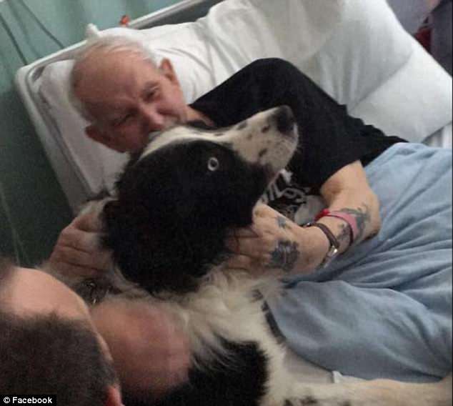Ετοιμοθάνατος παππούς βλέπει για τελευταία φορά τον σκύλο του λίγες ώρες πριν πεθάνει