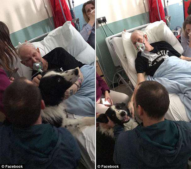 Ετοιμοθάνατος παππούς βλέπει για τελευταία φορά τον σκύλο του λίγες ώρες πριν πεθάνει