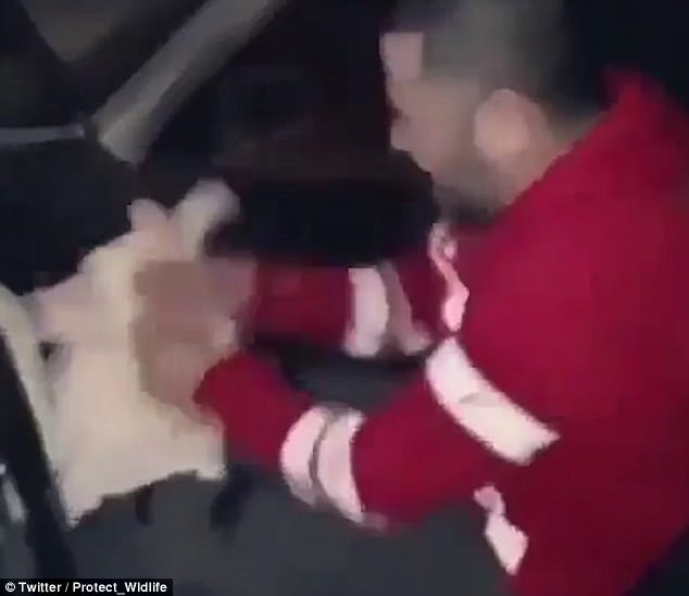 Άντρας χτυπάει επανειλημμένα ανυπεράσπιστο σκύλο στο κεφάλι ενώ οι φίλοι τον τραβάνε βίντεο