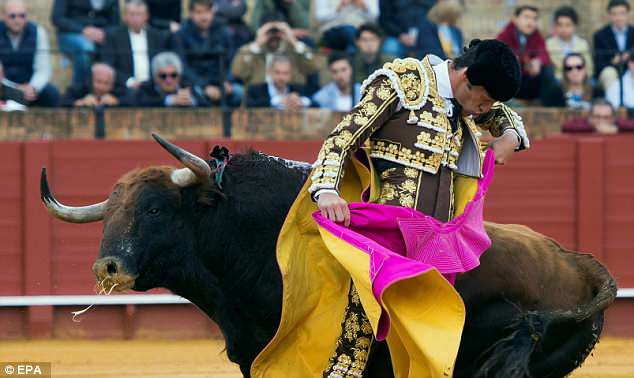 Ταύρος πέρασε το κέρατο του μέσα από πόδι ταυρομάχου στην Ισπανία
