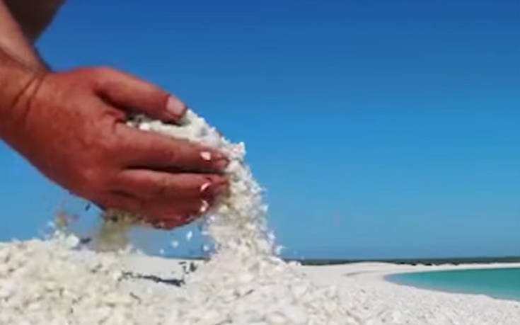 Μια κατάλευκη παραλία από κοχύλια στην Αυστραλία