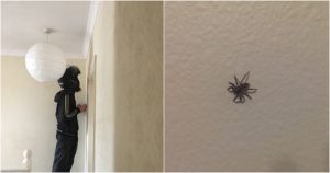 22χρονη φοιτήτρια παρήγγειλε απ’ έξω επειδή φοβόταν μια αράχνη και έβαλε τον ντελιβερά να την διώξει