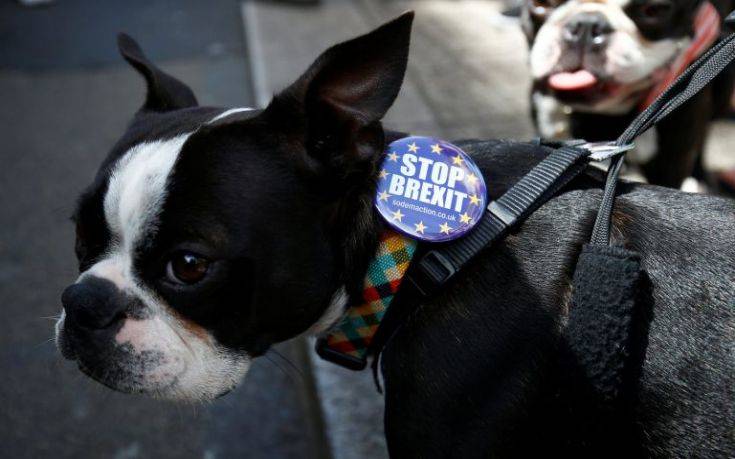 Σκύλοι διαδηλώνουν την Κυριακή στο Λονδίνο κατά του Brexit