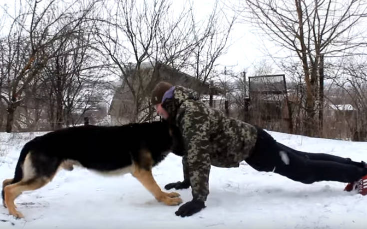 Σκύλος κάνει γυμναστική με το αφεντικό του