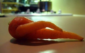 Καρότα που μοιάζουν με κάτι άλλο