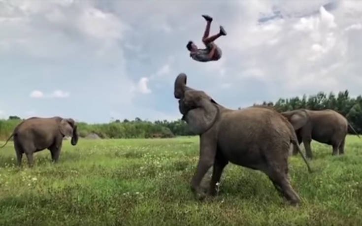 Ελέφαντας συνεργάζεται με άνδρα με αποτέλεσμα ένα εντυπωσιακό άλμα