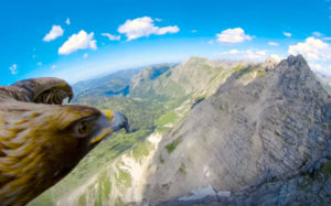 Μια πτήση πάνω από τις Άλπεις με τα μάτια ενός αετού