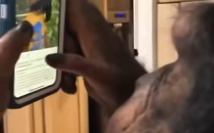 Πίθηκος χειρίζεται με μαεστρία το Instagram