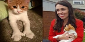 Παραδέχθηκε ότι σκότωσε κατά λάθος τη γάτα της πρωθυπουργού