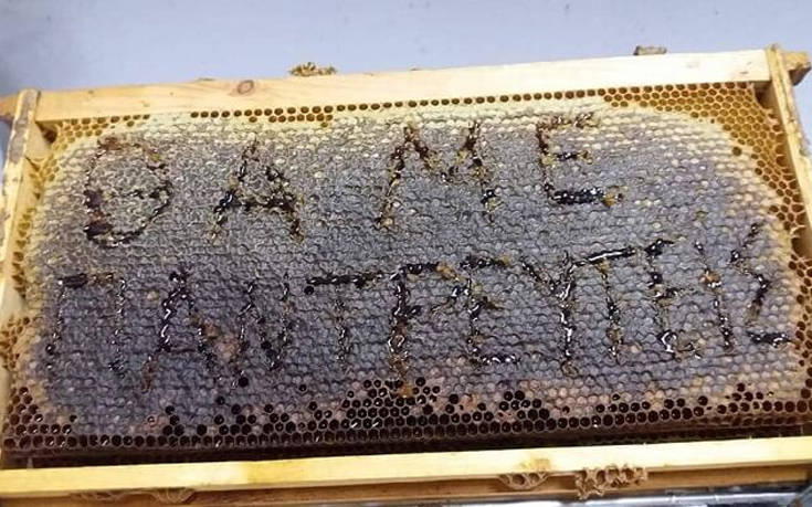 Πρόταση γάμου από… μέλι