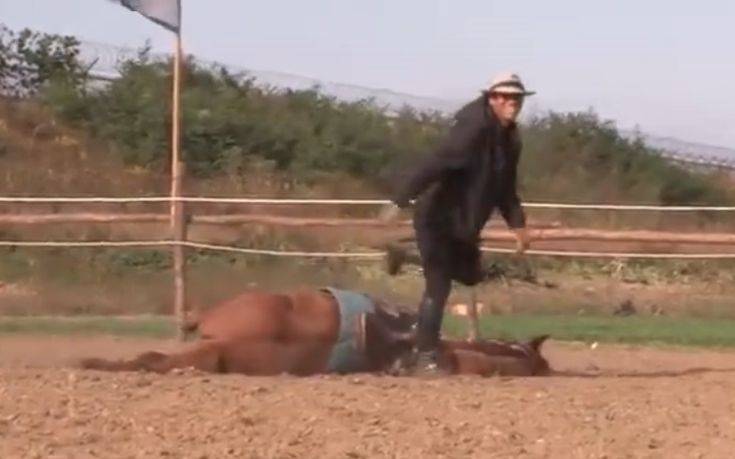 Άλογο προσποιείται ότι πεθαίνει για να μην το καβαλήσουν