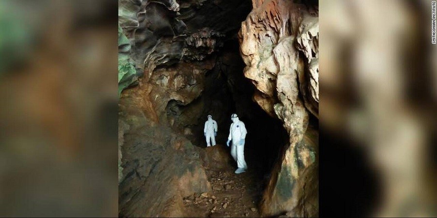 Κυνηγοί ιών:Ερευνούν σπηλιές νυχτερίδων για να προβλέψουν την επόμενη πανδημία