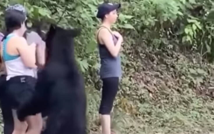 Αρκούδα και γυναίκες πεζοπόροι σε απόσταση αναπνοής