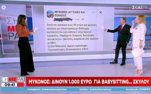 Απίστευτο κι όμως αληθινό: Στη Μύκονο δίνουν μισθό 1.000 ευρώ για babysitting σκύλου