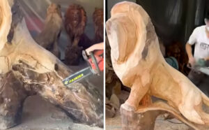 Φτιάχνοντας ένα λιοντάρι με βασικό εργαλείο… ένα αλυσοπρίονο