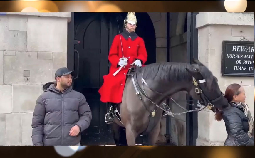 Άλογο της βασιλικής φρουράς της Βρετανίας… δάγκωσε την κοτσίδα τουρίστριας 