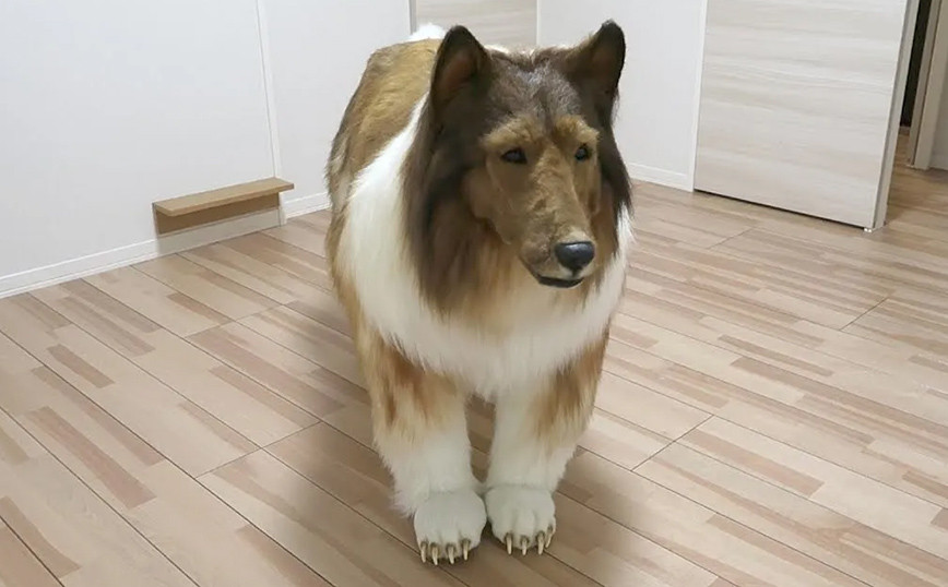 Ο Ιάπωνας που ξόδεψε 14.000 ευρώ για μια στολή σκύλου απολαμβάνει πλέον τη ζωή του ως τετράποδο