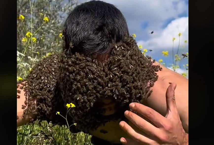 Δείτε σε βίντεο τον μελισσοκόμο Χάρη Σταμάτη από το Αγρίνιο που αφήνει χιλιάδες μέλισσες να κάτσουν...