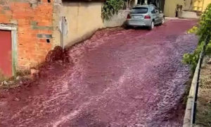 Δύο εκατομμύρια λίτρα κόκκινου κρασιού «πλημμυρίζουν» τους δρόμους πορτογαλικού χωριού – Έσπασαν δεξ...